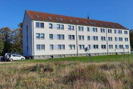 Wohnung Leezen - 2 Zimmer, 46 m&sup2;, 239&euro; | Angebot:24346487