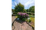 Bungalow Schwerin Gartenstadt - 1 Zimmer, 60 m&sup2;, 150.000&euro; | Angebot:26708994