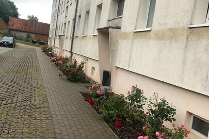 Wohnung Wittenburg - 2 Zimmer, 53 m&sup2;, 350&euro; | Angebot:24688289