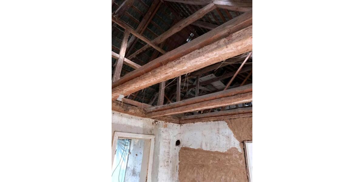 1 ha Grundstück mit Altbestand + Baugenehmigung für 2 tolle WE zimmer