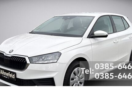 Skoda Fabia 28.800 km 13.999 &euro; Schwerin 19061