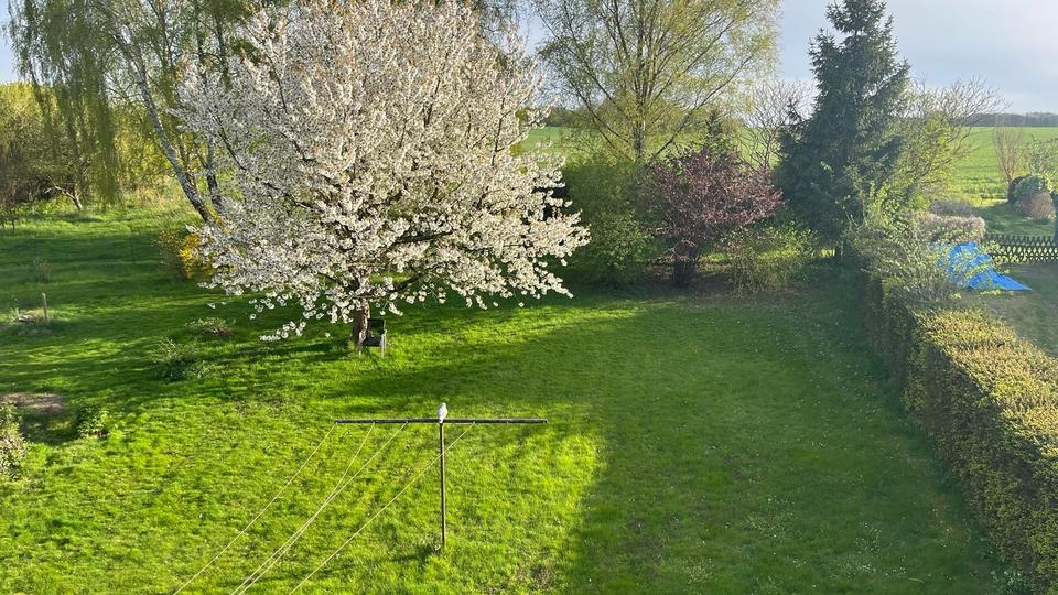 Reihenhaus Rehna - 5 Zimmer, 105 m&sup2;, 990&euro; | Angebot:26526994