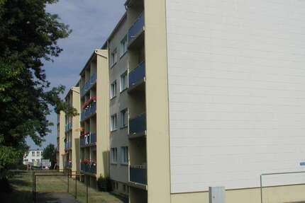 Wohnung Warin Wilhelmshof - 1.5 Zimmer, 43 m&sup2;, 253&euro; | Angebot:26582374