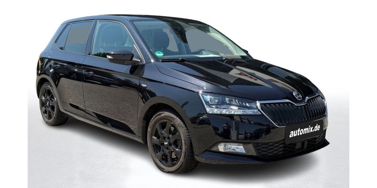 Skoda Fabia 57.399 km 16.900 € Gadebusch 19205