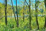 Lage und Preis ! SUPER ! Reizvolles Baugrundstück, erschlossen, mit Seeblick * über 2.500 m² * bei Schwerin !!!