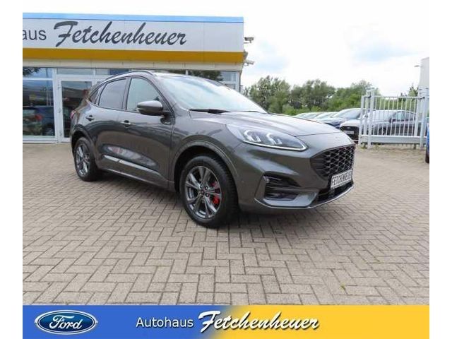 Kuga