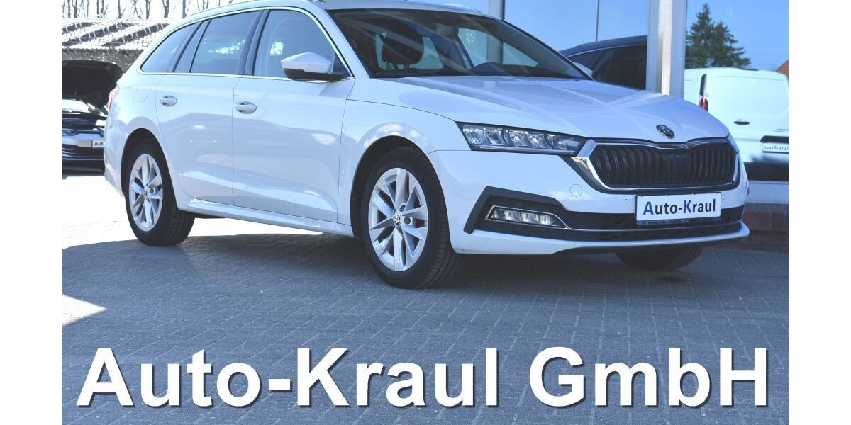 Skoda Octavia 94.863 km 19.949 &euro; Rehna 19217
