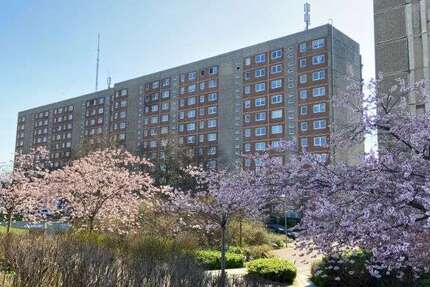 Wohnung zum Mieten in Schwerin 450 € 68.01 m² 3 zimmer