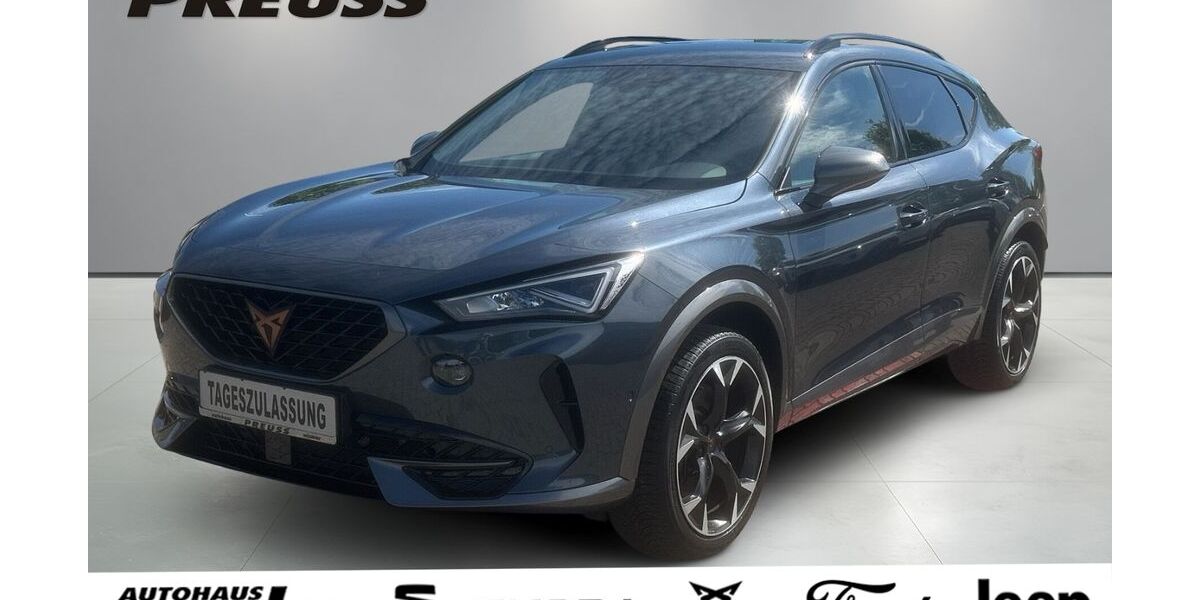 Cupra Formentor 36.905 km 32.995 &euro; Wismar 23966