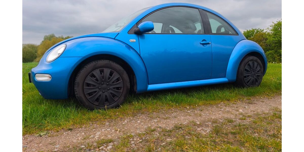VW Beetle 94.000 km 2.250 &euro; Leezen 19067
