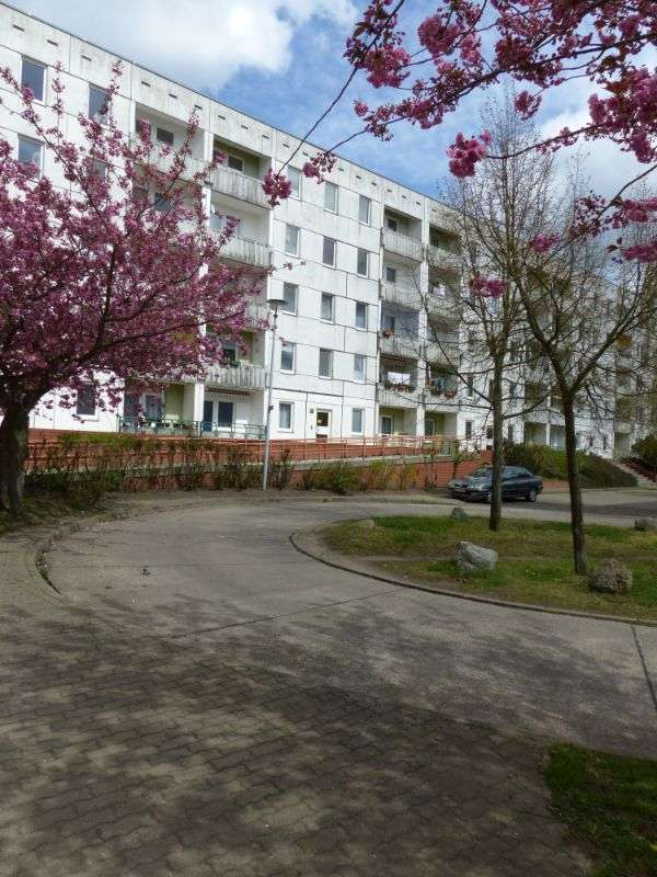 Wohnung zum Mieten in Schwerin 420 € 71.5 m²