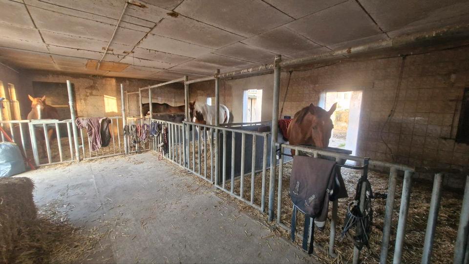 Etagenwohnung Gadebusch - 1 Zimmer, 92 m&sup2;, 850&euro; | Angebot:24741919