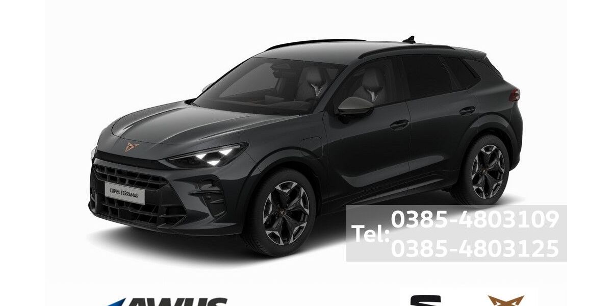 Cupra Terramar 10.500 km 42.990 &euro; Schwerin 19057