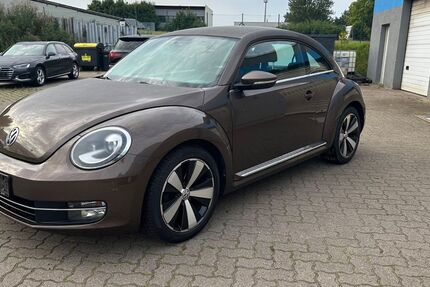 VW Beetle 166.850 km 5.590 € Pampow 19075