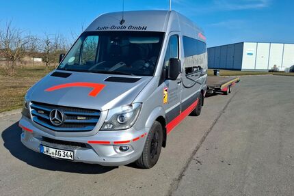 Mercedes-Benz Sprinter 250.300 km 29.155 € Zarrentin 19246