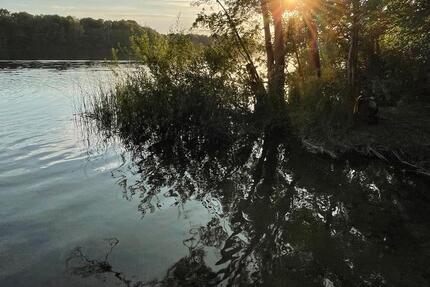 Haus Schwerin Friedrichsthal - 3 Zimmer, 100 m&sup2;, 1.400&euro; | Angebot:25178235