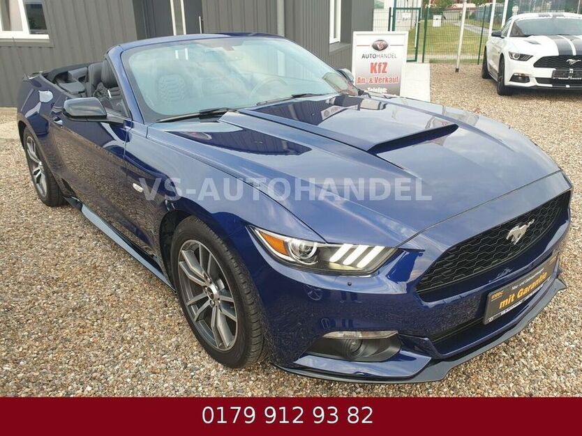 Mustang