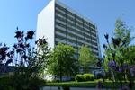 Etagenwohnung Schwerin Gartenstadt - 2 Zimmer, 63 m&sup2;, 429&euro; | Angebot:26676787