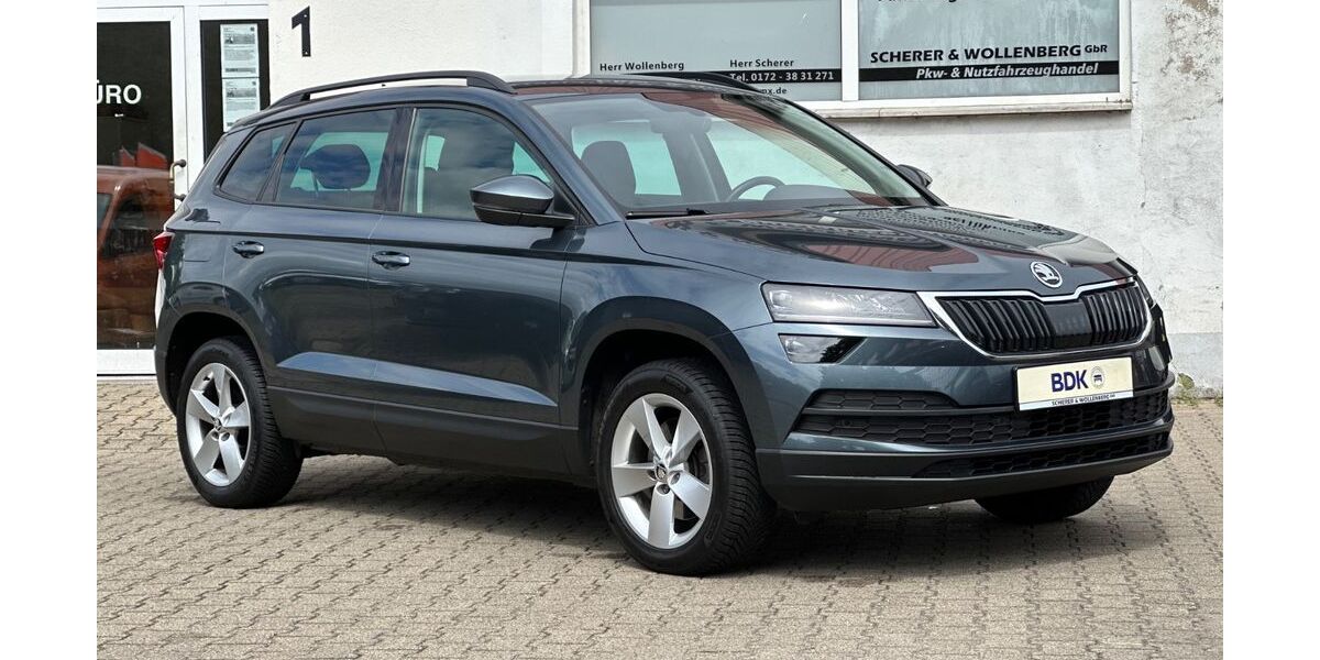 Skoda Karoq 63.095 km 17.950 € Bandenitz 19230
