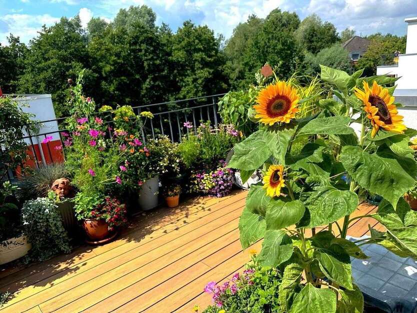 Wohnung zum Kaufen in Schwerin (Krebsförden) 535.000 € 129 m²