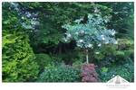 Einfamilienhaus Groß Woltersdorf Groß Woltersdorf - 4 Zimmer, 171 m&sup2;, 498.750&euro; | Angebot:26568904