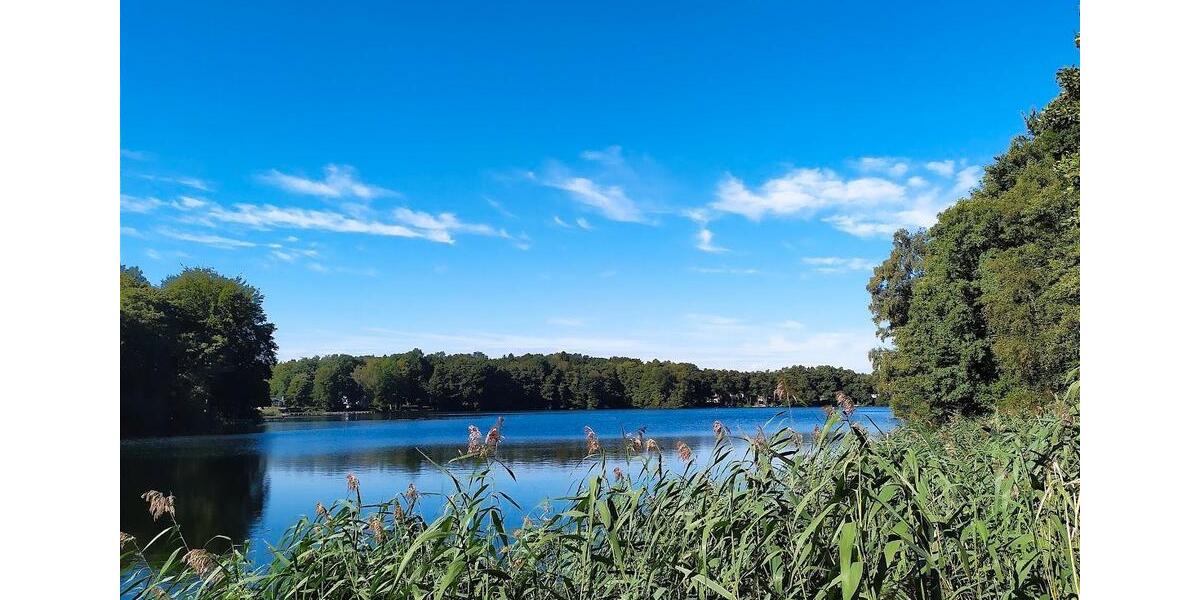 Einfamilienhaus Wittenförden - 3 Zimmer, 56 m&sup2;, 285.000&euro; | Angebot:25991385