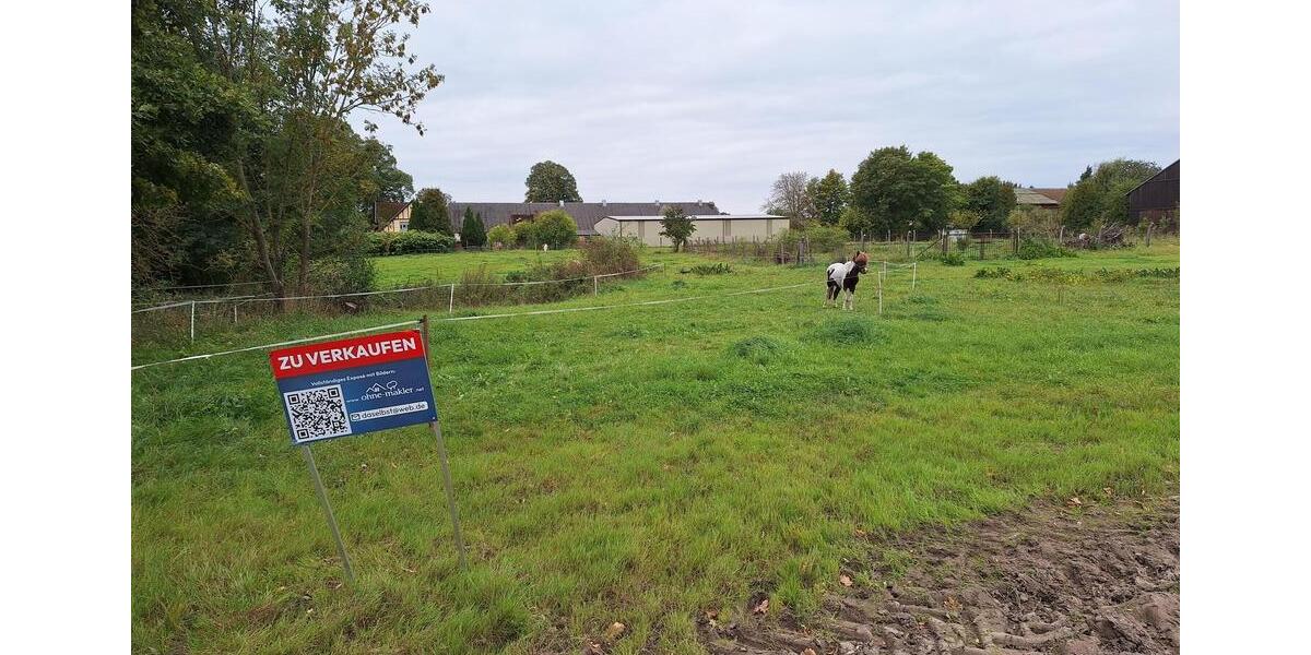 Gewerbeobjekt Gadebusch - 75.000&euro; | Angebot:23992804