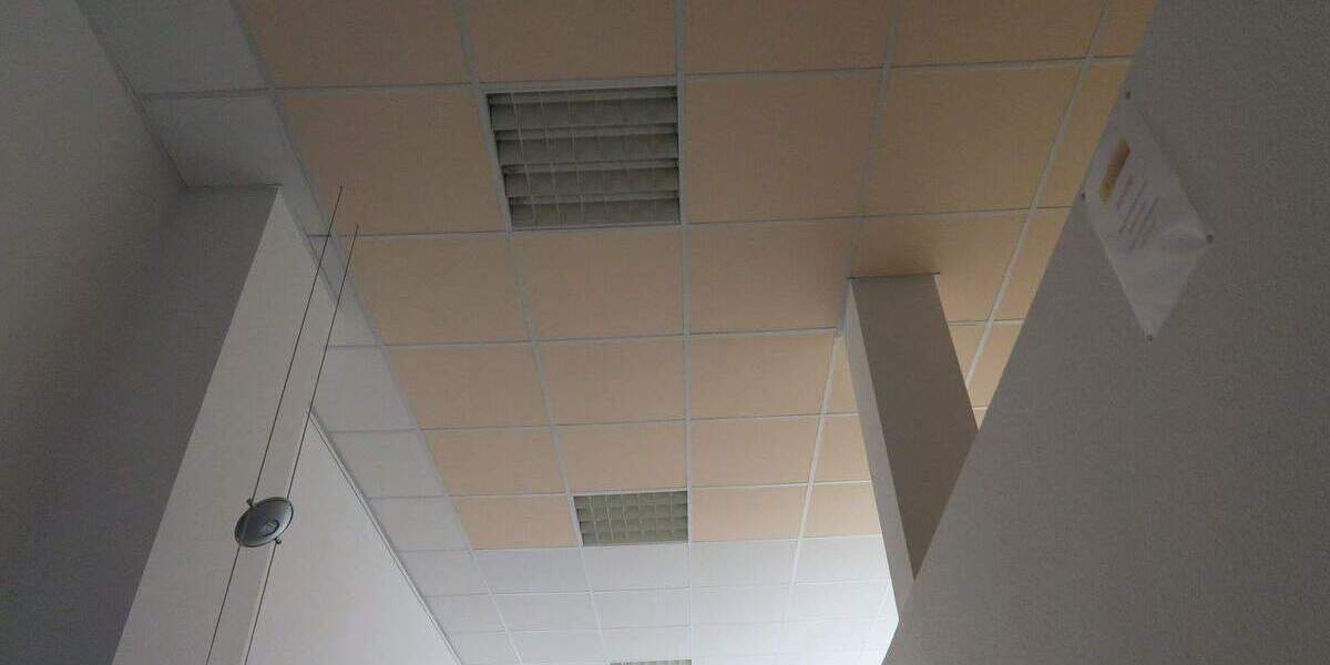 Gewerbeobjekt Schwerin Altstadt - 5 Zimmer, 142 m&sup2;, 1.150&euro; | Angebot:25698170