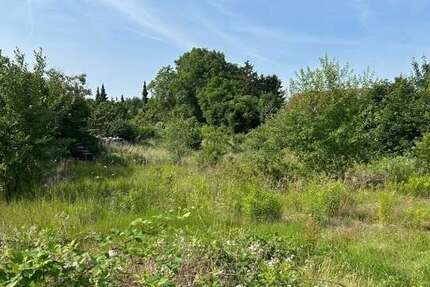 Grundstück Schwerin Gartenstadt - 119.000&euro; | Angebot:25259055