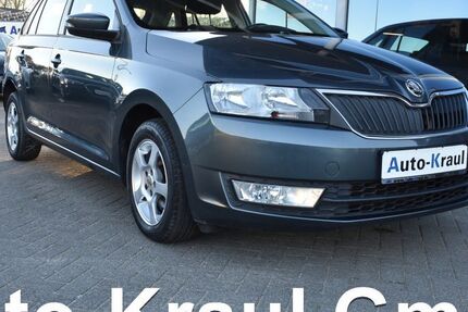 Skoda Rapid 164.070 km 7.299 &euro; Rehna 19217