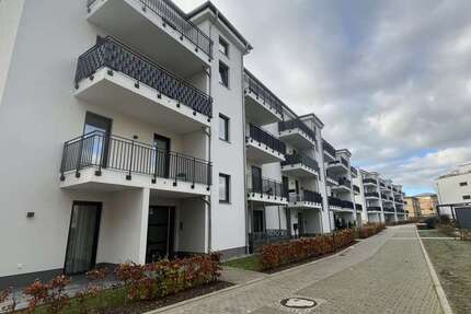 Wohnung Schwerin Gartenstadt - 2 Zimmer, 70 m&sup2;, 735&euro; | Angebot:25488608