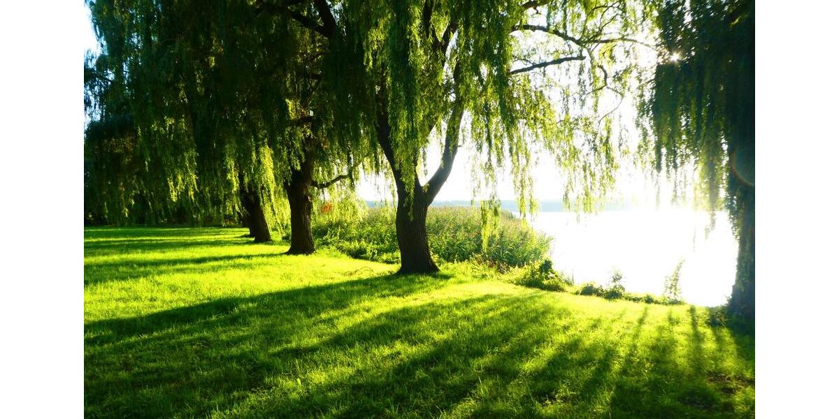 Etagenwohnung Warin - 6 Zimmer, 130 m&sup2;, 980&euro; | Angebot:26045378