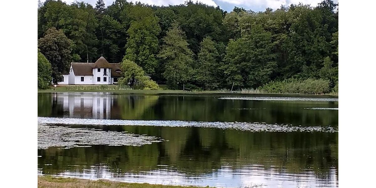 Einfamilienhaus Domsühl - 6 Zimmer, 165 m&sup2;, 225.000&euro; | Angebot:24459243