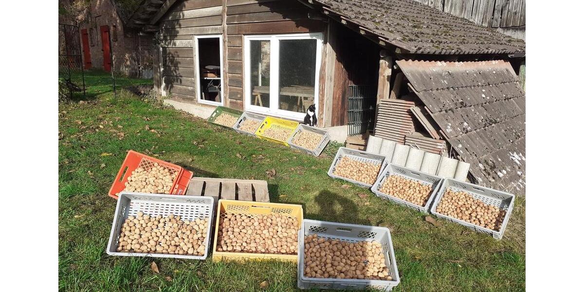 Bauernhaus, Landhaus Plate - 400.000&euro; | Angebot:27025838