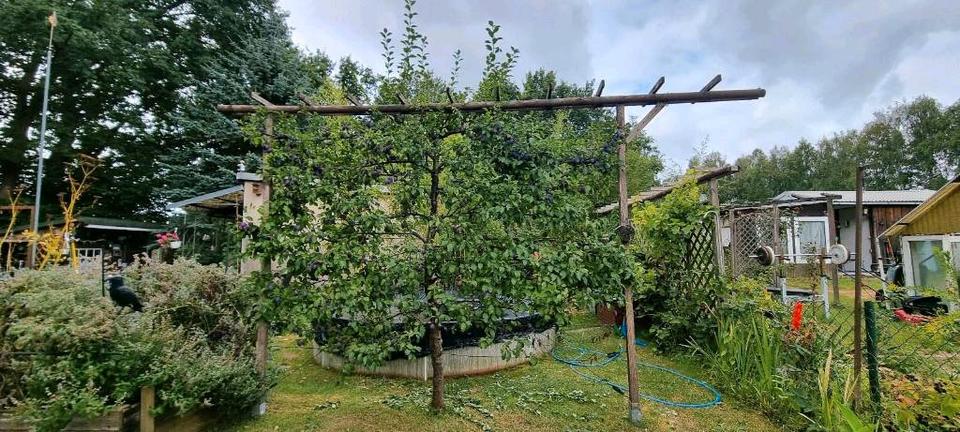 Grundstück Hagenow - 8.000&euro; | Angebot:25303633