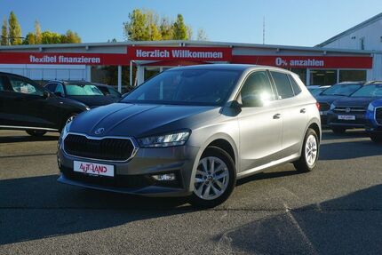 Skoda Fabia 47.276 km 19.950 € Schwerin 19061