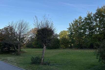 Grundstück zu verkaufen in Golchen b Sternberg 95.000 € 2215 m² zimmer