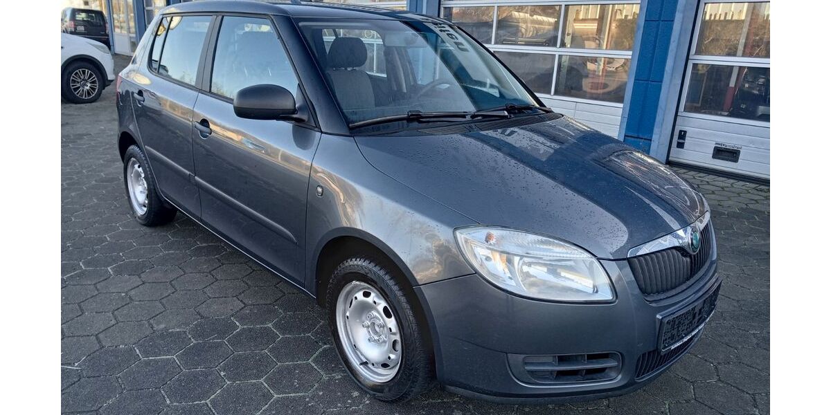 Skoda Fabia 195.000 km 3.450 € Schwerin 19061