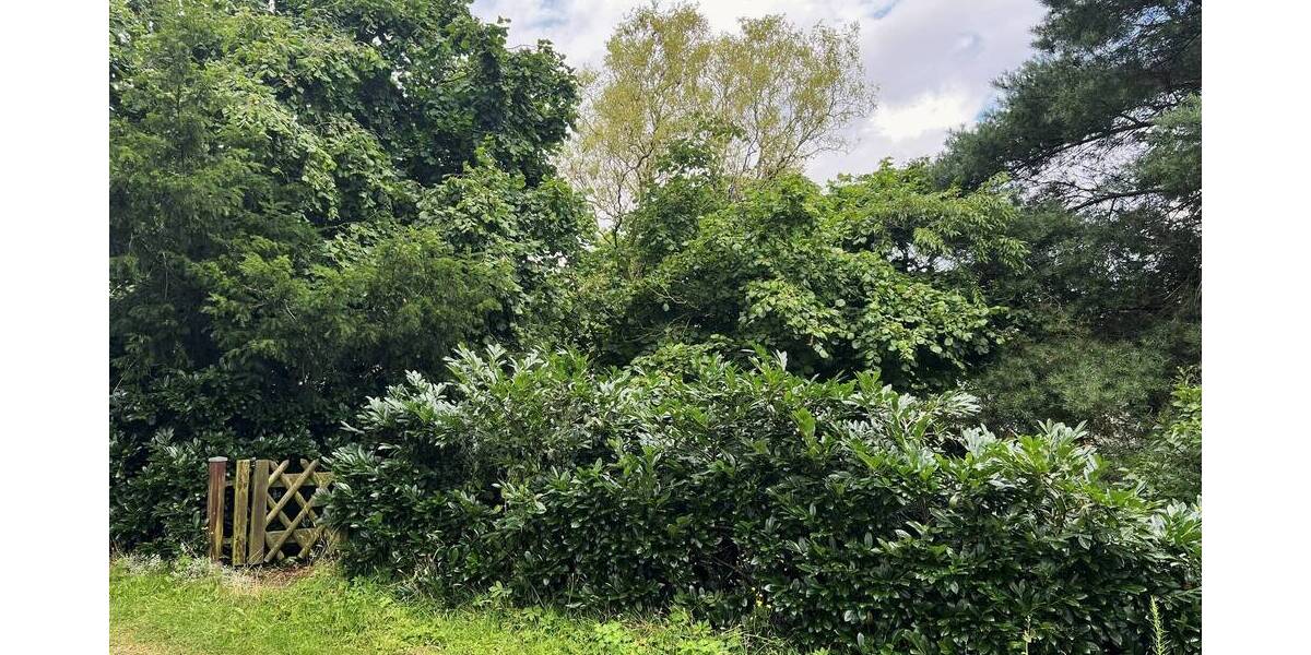 Mehrfamilienhaus, Wohnhaus Seehof - 5 Zimmer, 81 m&sup2;, 263.500&euro; | Angebot:25728000