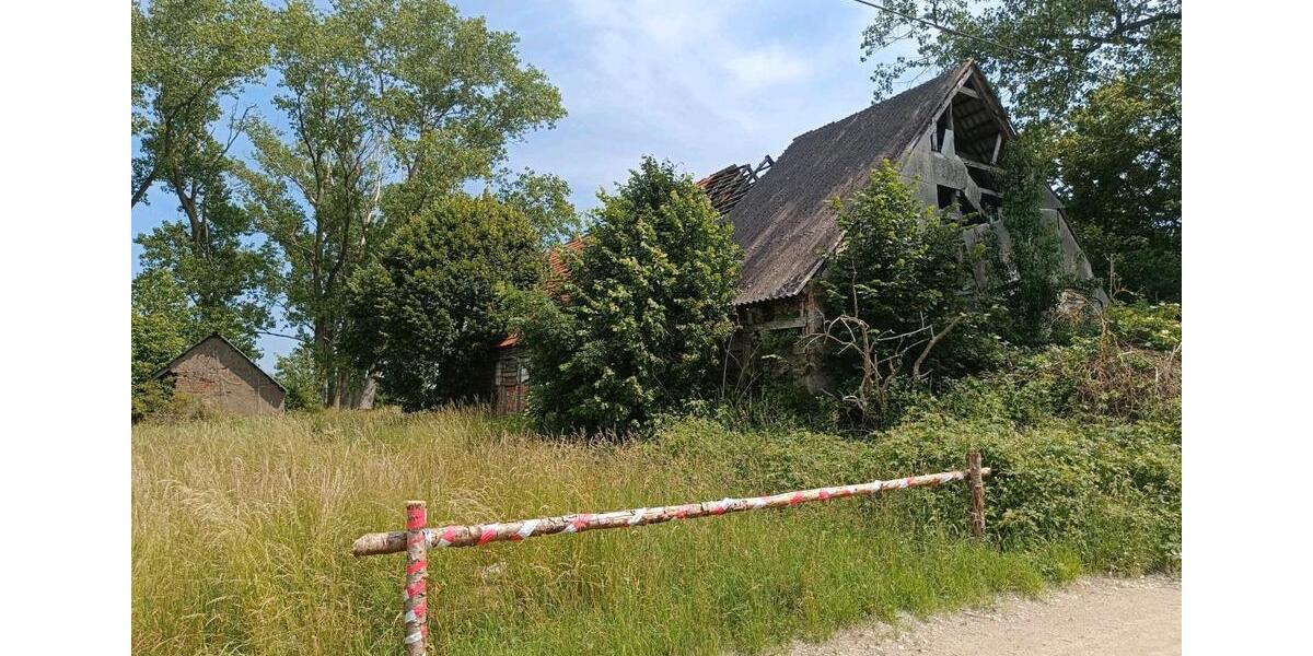Bauernhaus, Landhaus Domsühl - 4 Zimmer, 100 m&sup2;, 58.000&euro; | Angebot:25422415