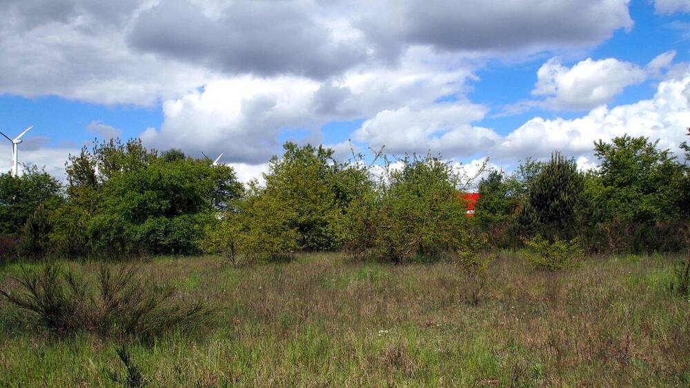 Gewerbeobjekt Lübesse - 120.000&euro; | Angebot:26723119