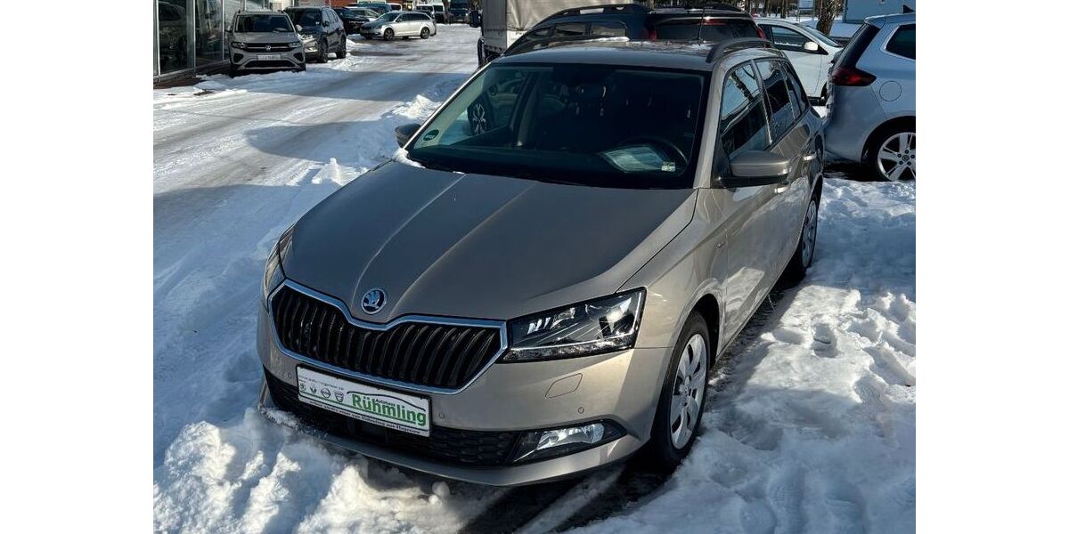 Skoda Fabia 67.300 km 14.450 &euro; Hagenow 19230