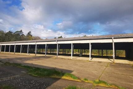 Freiflächenhalle in 19406 Dabel zu vermieten H37 zimmer