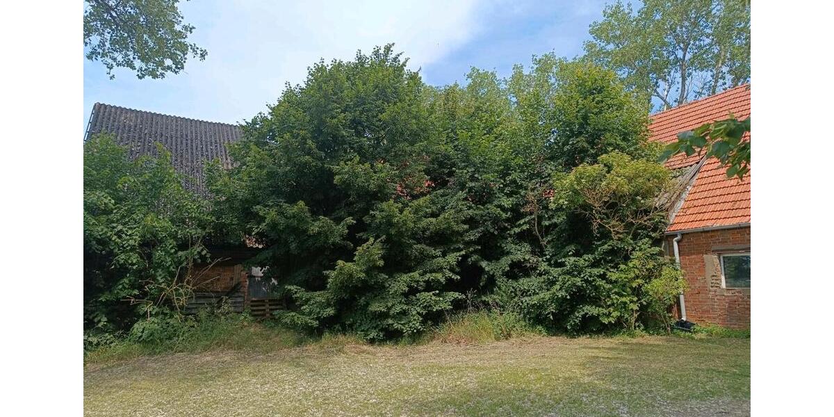 Bauernhaus, Landhaus Domsühl - 4 Zimmer, 100 m&sup2;, 58.000&euro; | Angebot:25422415