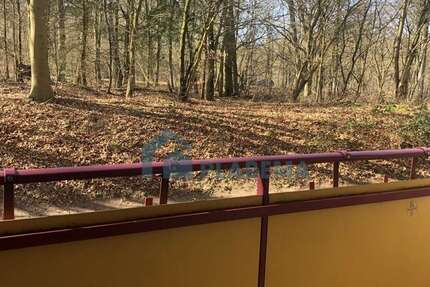 Wohnung zum Mieten in Schwerin 410 € 45.61 m² 2 zimmer