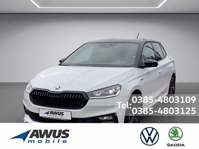 Skoda Fabia 12.500 km 24.990 € Schwerin 19057