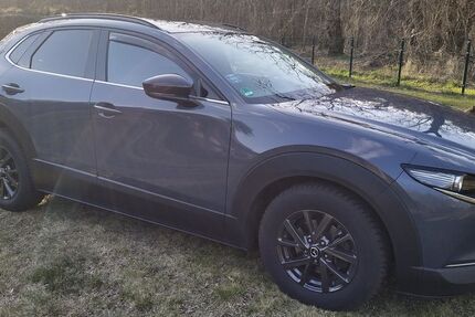 Mazda CX-30 107.000 km 14.900 &euro; Spreenhagen 15528