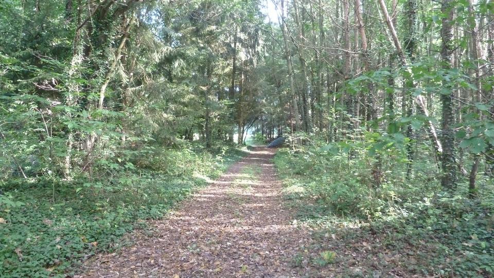 Mehrfamilienhaus, Wohnhaus Crivitz - 550.000&euro; | Angebot:25342902
