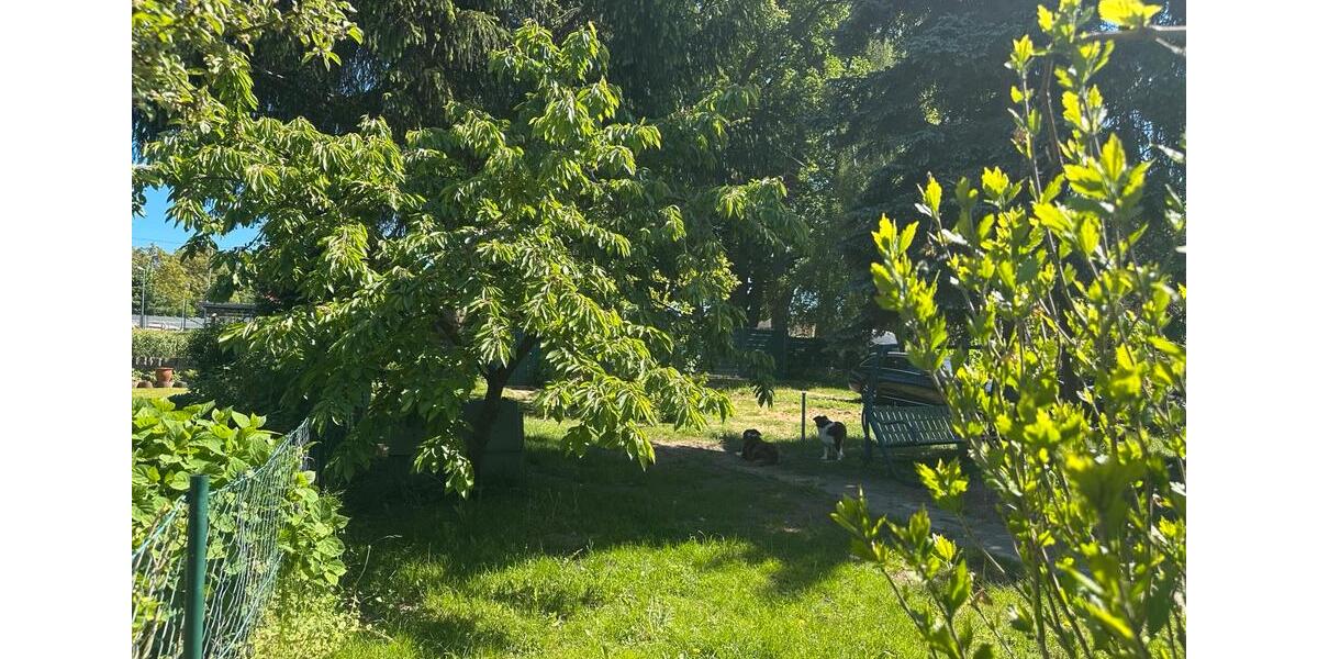 Einfamilienhaus Crivitz - 5 Zimmer, 107 m&sup2;, 165.000&euro; | Angebot:26858120