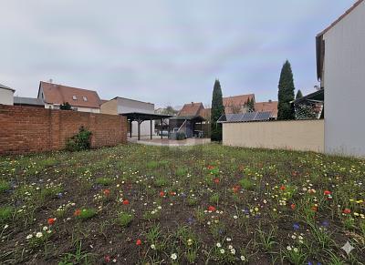 EINTAUCHEN IN GLASKLAREN QUELLSEEN - Grundstück Sternberg | Angebot:26487816